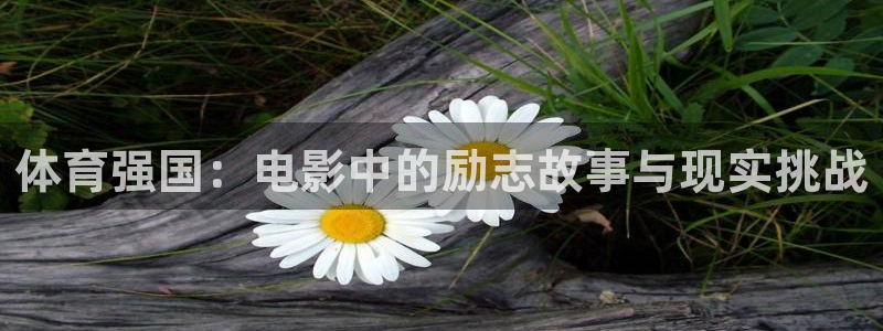 k1体育 十年品牌：体育强国：电影中的励志故事与现实挑战