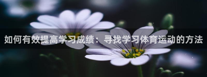 k1体育链接：如何有效提高学习成绩：寻找学习体育运动的方法